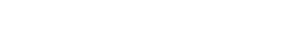 Rexity Labs UG